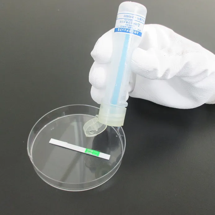 シャーレで微生物検査を行う品質管理担当者の手元